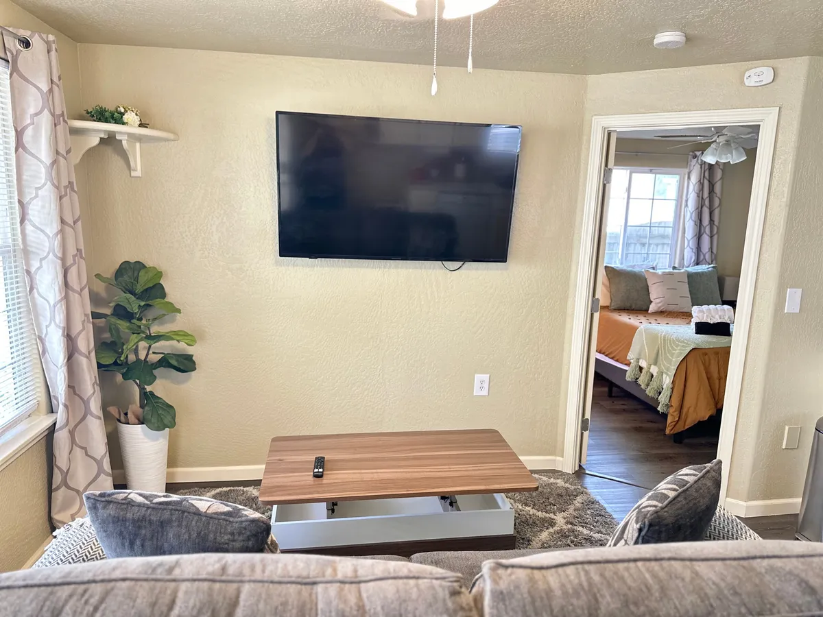 A welcoming living room setup featuring a comfortable couch, a coffee table, a television for movie nights, an indoor plant, and a view into the adjacent bedroom. The space feels intimate and functional, suitable for both relaxation and social activities.